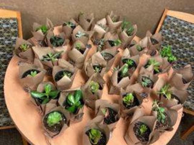 ARBORS AT WOODSFIELD